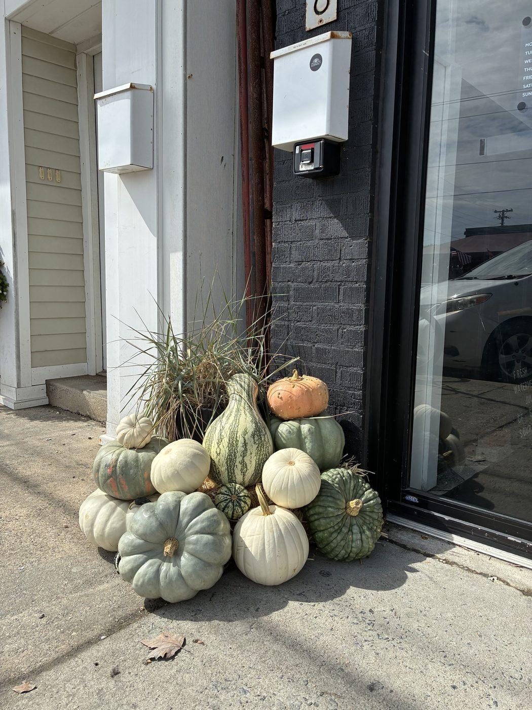 A close view of a doorway cluster of heirloom pumpkins in white, blue-grey and green, with a tall striped swan gourd and ornamental grass.