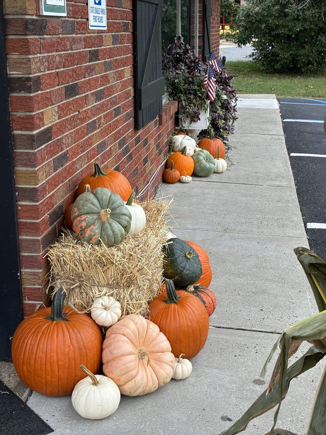 Pumpkins and a straw bale banked against a brick wall and running the length of a walkway, in orange, white and heirloom green.